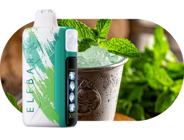 ELFBAR Ice King hot sale flavours Miami Mint