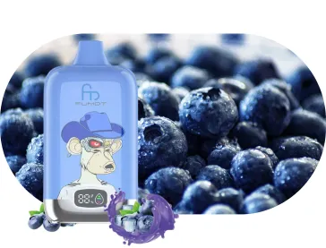Fumot Digital Box 12000 – Blueberry On Ice