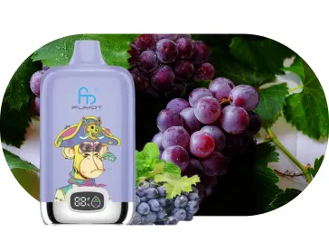 Fumot Digital Box 12000 – Grape Mint