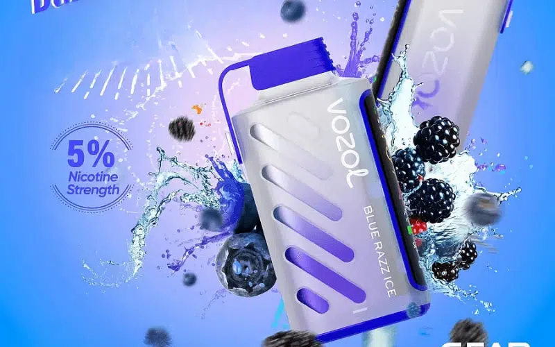 Die 13 Besten Vozol Vape 20000 Geschmacksrichtungen 2026 | Vapepenzone Deutschland Blue Razz Ice