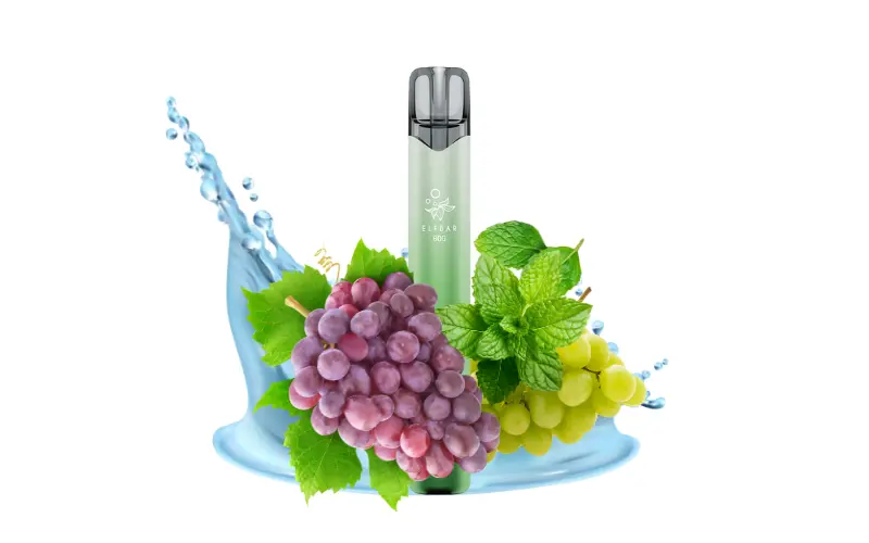 Elfbar 800 Grape Mint