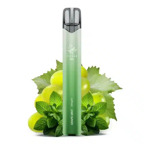 elfbar-800-grape-mint