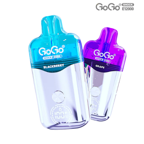 GOGO Shock E12000 Kit