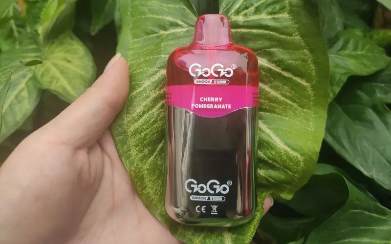 Gogo Shock E12000 Kit - Strawberry Raspberry | Vapepenzone Deutschland GOGO Shock E12000 Kit Deutschland