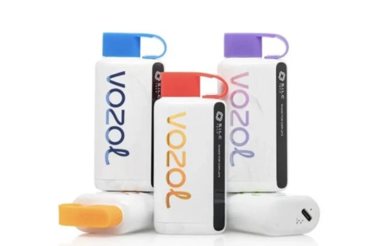 Vozol 12000 Erfahrungen: Einführung