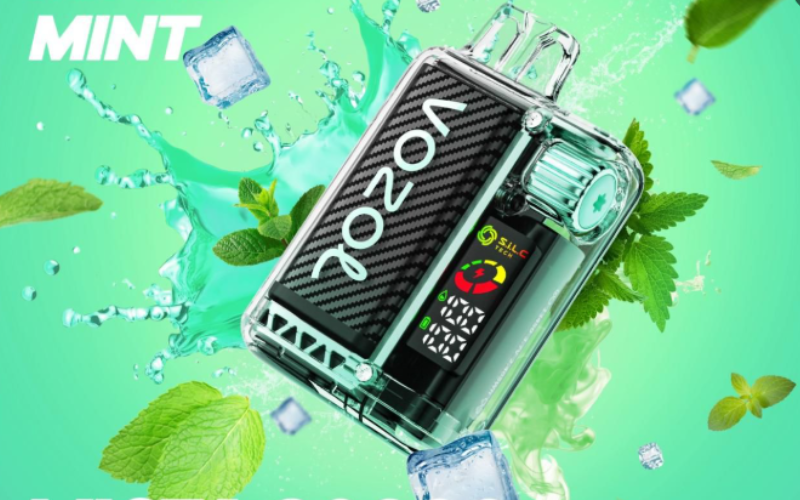Die 13 Besten Vozol Vape 20000 Geschmacksrichtungen 2026 | Vapepenzone Deutschland Vozol Fresh Mint