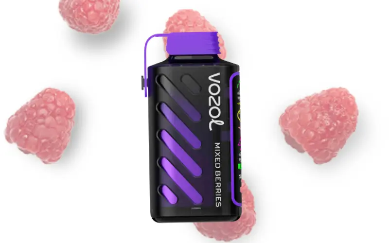 Vozol Gear Power 20000 - Berry Blast 