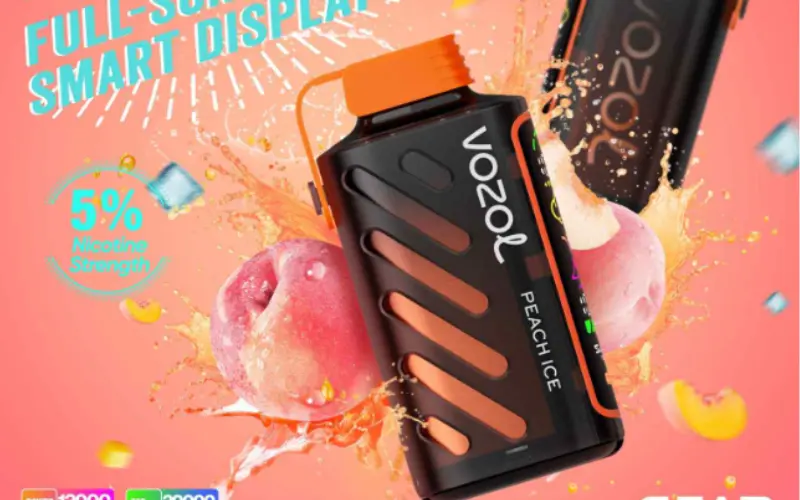 Vozol Gear Power 20000 - Peach Ice