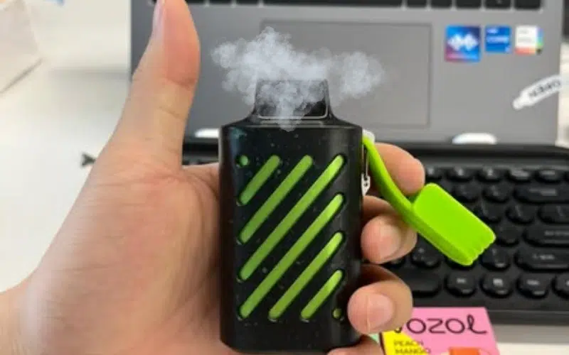 Vozol Vape 10000 Erfahrungen: 6 Vorteile Selbst Erlebt! | Vapepenzone Deutschland Vozol Vape 10000 Erfahrungen