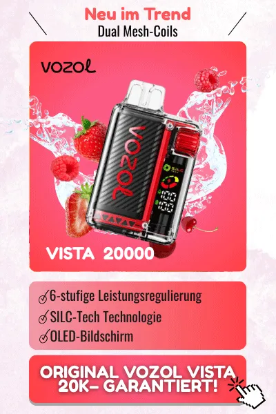 vozol-vista-blog-hot-sale
