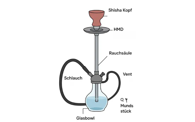 Wie Raucht Man Shisha? Tipps Für Anfänger Und Profis! | Vapepenzone Deutschland Was ist Shisha